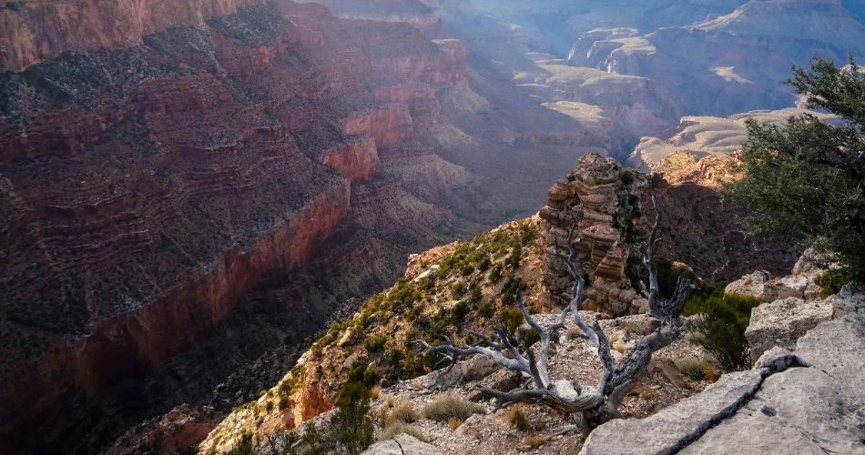 Iconic Attractions in the USA: From Legendary Stadiums to Must-See Landmarks